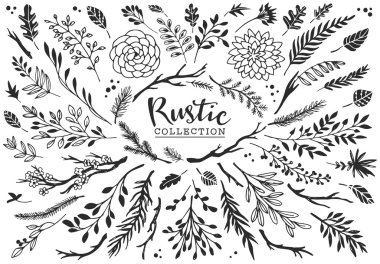 Rustic decorative plants and flowers clipart