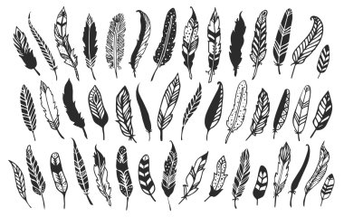 Rustic decorative feathers. clipart