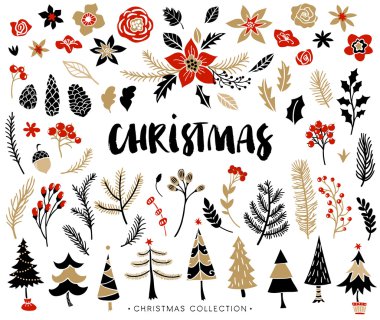 Christmas set of plants