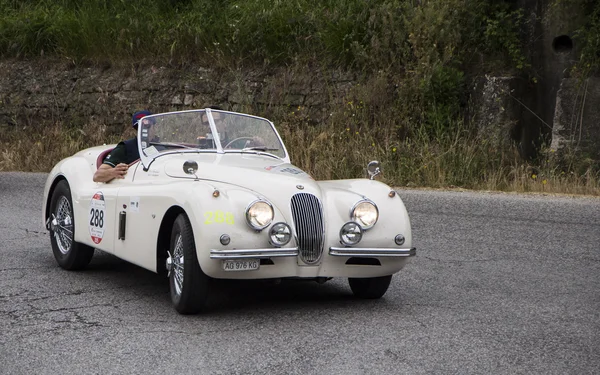 Jaguar Xk 120 Ots Roadster 1953 — Photo