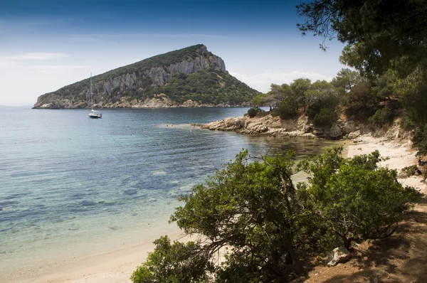 Italien sardinien landschaften cala moresca — Stockfoto