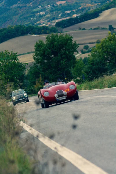 Cagli Italia Ott 2020 Jaguar Type 1952 Viejo Coche Carreras — Foto de Stock