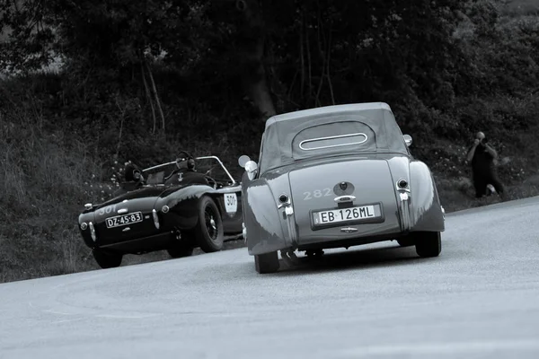 Cagli Italien Ott 2020 Jaguar 120 Ots Roadster 1954 Ace — Stockfoto