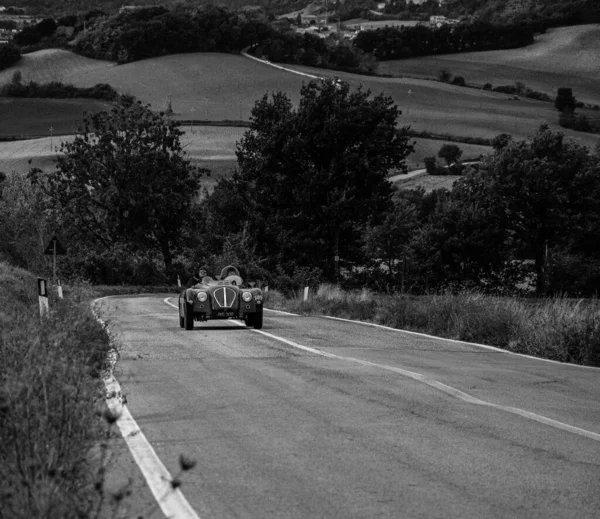 Cagli Italia Ott 2020 Healey Nash Healey Prototype 1949 Viejo —  Fotos de Stock