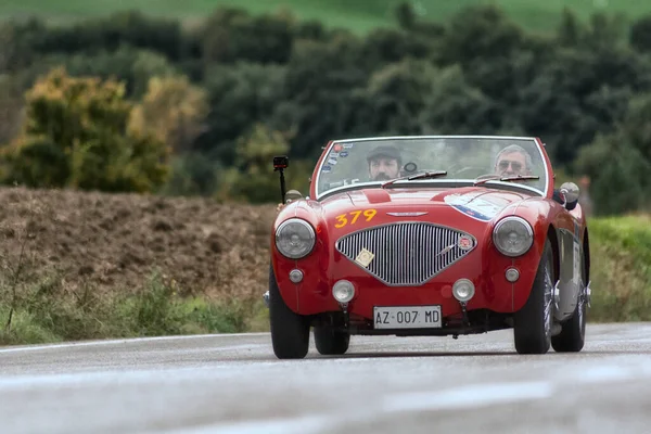 Cagli Itália Ott 2020 Austin Healey 100 Bn2 1956 Old — Fotografia de Stock