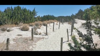 Pevero 'nun sardunya plajı ve zümrüt denizi