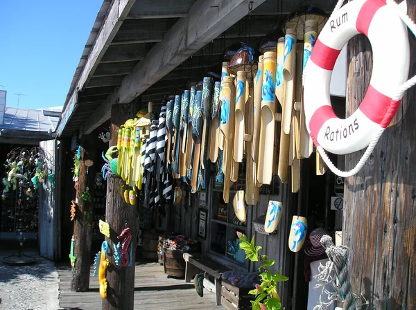 Emporium pour souvenirs de sauvetage en mer — Photo