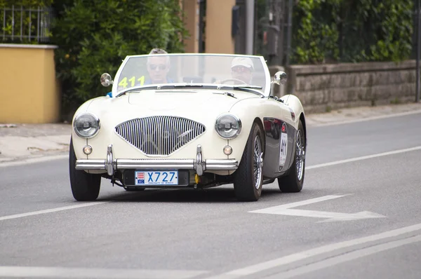 Austin Healey 100 M Bn2 1956 — Foto de Stock