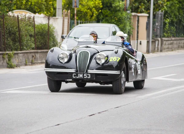 Bolide Arnolt Bristol 1954 — Foto de Stock