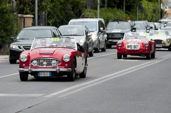 Zagato FIAT 1100 E Coupé 1952 — Stok fotoğraf