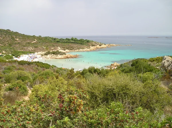 Sardinie na šířku záliv Prince — Stock fotografie