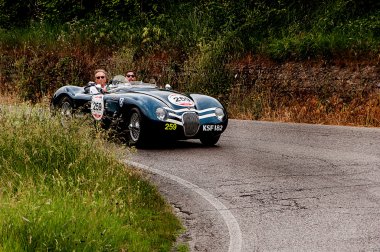 Jaguar C tipi 1953