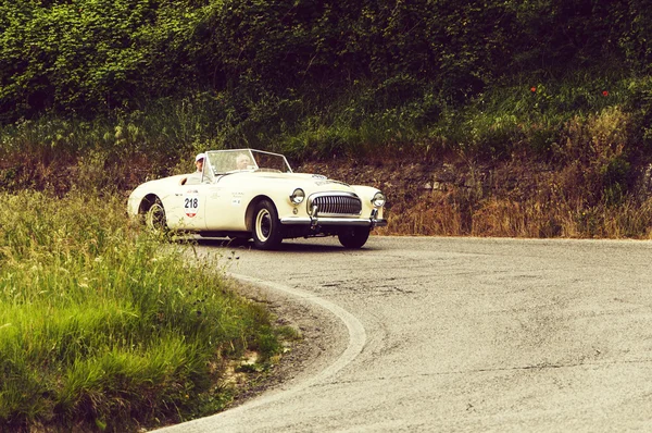 Nash Healey Sports 3850 DW pająk 1951 — Zdjęcie stockowe