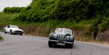 MILLE MIGLIA 2015  HEALEY 2400 Silverstone 1950