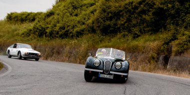 MILLE MIGLIA 2015  HEALEY 2400 Silverstone 1950