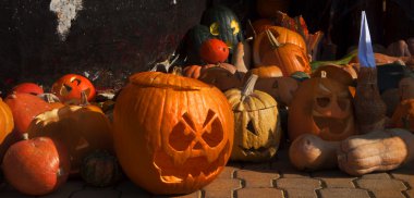 Cadılar Bayramı kutlaması