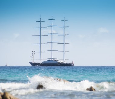 Sardunya Malta Şahini