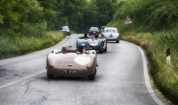 JAGUAR C - Tipo 1952 — Fotografia de Stock