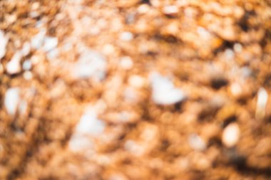 Odaklanmamış sonbahar yaprakları arkaplan bileşimi. Arkaplan olarak güzel turuncu sonbahar yaprakları. Sonbahar yaprağı. Düz konum, üst görünüm, kopyalama alanı.