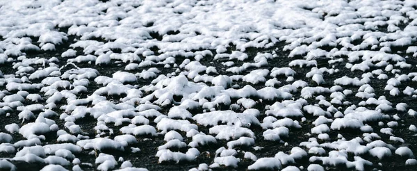 Pierres Rochers Remplis Neige Blanche Pure Provenant Une Chute Neige — Photo