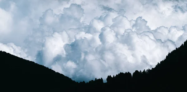 Fák Sziluettje Hegyekben Különös Sűrű Fehér Felhőkkel Háttérben Panorámás Hegyvidéki — Stock Fotó