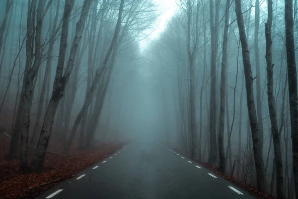 Ködös Hegyi Sűrű Köddel Egy Kísérteties Őszi Vagy Téli Erdő — Stock Fotó