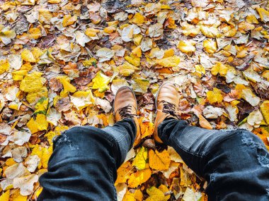 Sonbahar yapraklarının arasında isimsiz biri oturuyor. Sarı ve turuncu akçaağaç yaprakları. Bacak ve eski ayakkabı manzarası.