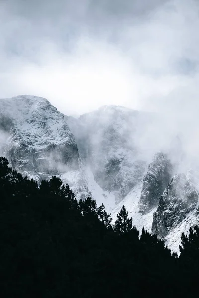 雪の山といくつかの松の木のシルエットと冬の風景 雪と霧と冬の山岳風景 — ストック写真