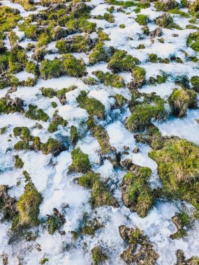 Dağlarda karlı, buzlu ve yeşil çimenli doğa dokusu. İklim eriyor. Dikey.