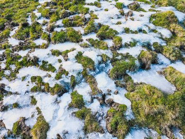 Dağlarda karlı, buzlu ve yeşil çimenli doğa dokusu. İklim eriyor. Güneşli bir günde baharın gelişi.