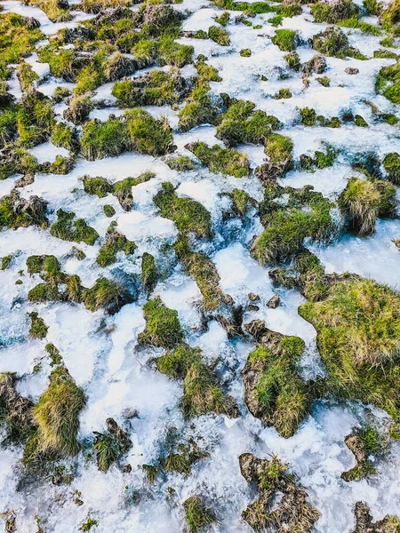 Dağlarda karlı, buzlu ve yeşil çimenli doğa dokusu. İklim eriyor. Dikey.