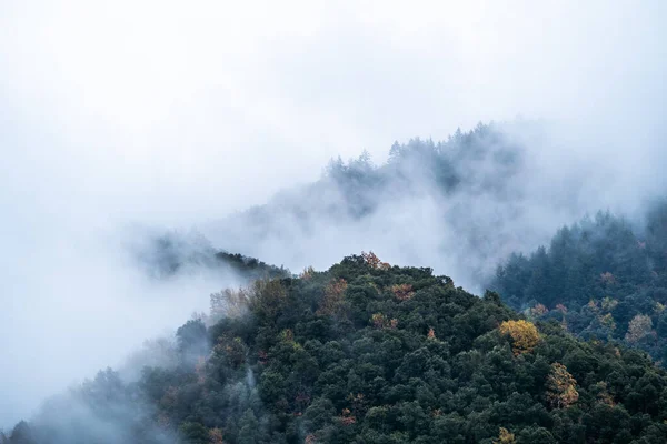 霧と雲と山の冬の風景 平和をもたらす神秘的で 静かでリラックスした風景 テキストの空白を持つ自然背景 — ストック写真