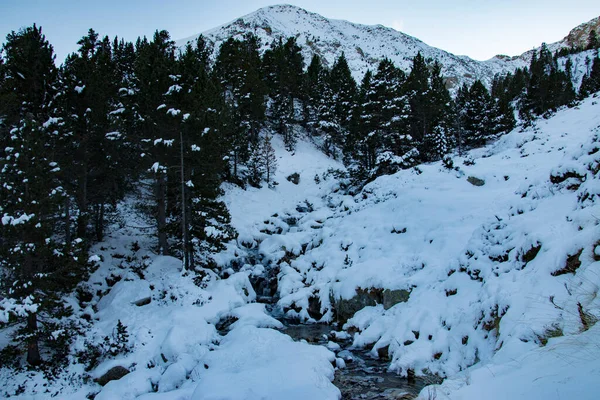 Patak Egy Nyugodt Hegyvidéki Tájon Télen Havazott Békés Nyugodt Nyaralás — Stock Fotó