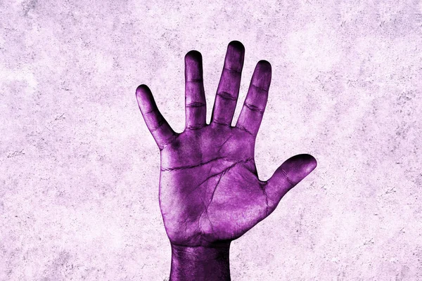Cinsiyet eşitliği isteyen Afro-Amerikalı bir kadının açık avuç içi moru. 8 Mart Uluslararası Kadınlar Günü. Feminizm, dur, protesto, kadın hakları. Pembe arka planda tek başına kalmış bir kadın..