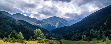 Ağaçları ve yeşil dağları olan güzel dağlık bir vadi. Açık hava yaz tatili, doğa ve dağcılık konsepti. Pireneler, Katalonya, İspanya.