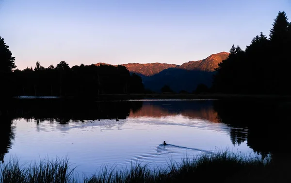 Bella Alba Tramonto Lago Alpino Con Silhouette Alcune Anatre Nei — Foto Stock