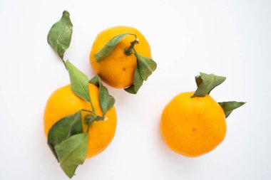 Mandarin Fotoğraf: Turunçgil, yaprakları üstten görünüyor.