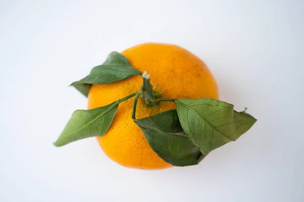 Μανταρίνι Φωτογραφία εσπεριδοειδών πορτοκαλιού με φύλλα πάνω όψη — Φωτογραφία Αρχείου