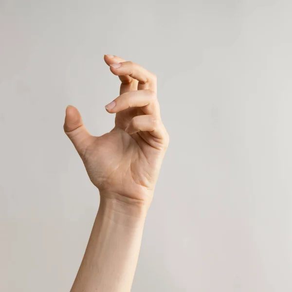 Hand gestures. Zombie hands attack, grabbing something hands with crooked fingers. — Stock Photo, Image