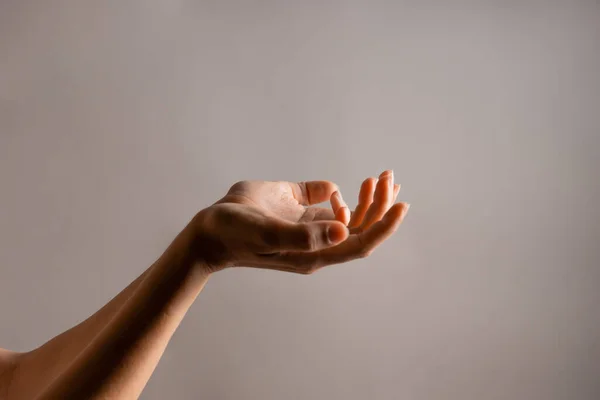 Mão feminina elegante, apontando para o lado. Palma segura algo, um espaço em branco para o projeto. Gestos de mão — Fotografia de Stock