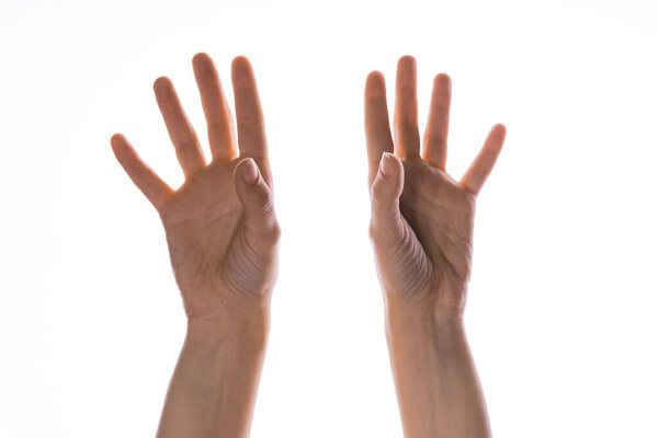 Жест рукой. Элегантные женские руки тянутся вверх, изолированные на белом,