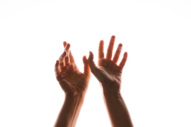 El hareketleriyle. Zarif kadın elleri uzanıyor, beyaz üzerinde izole.,