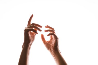 El hareketleriyle. Zarif kadın elleri yukarı bakıyor, beyaz üzerinde izole.,