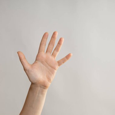 Beş parmak, avuç içi açık, bir kadının elinde beş parmak. El hareketleri