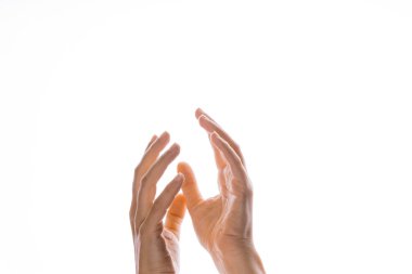 El hareketleriyle. Zarif kadın elleri uzanıyor, beyaz üzerinde izole.,