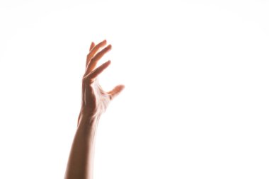 El hareketleriyle. Zarif kadın eli bir şeye dokunmak için uzanıyor.,