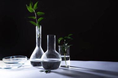 Test tüpleri şişeleri ve petri kapları, laboratuvar bardakları. Tıp ve biyolojik veya kimyasal araştırmalar,