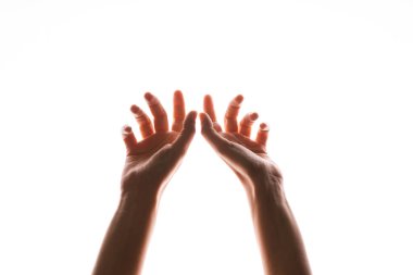 El hareketleriyle. Zarif kadın elleri uzanıyor, beyaz üzerinde izole.,