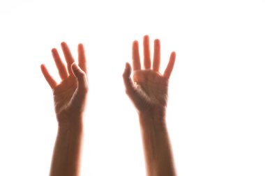 El hareketleriyle. Zarif kadın elleri uzanıyor, beyaz üzerinde izole.,