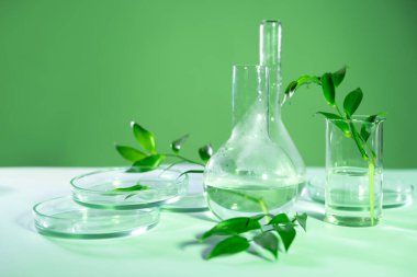 Test tüpleri şişeleri ve petri kapları, laboratuvar bardakları. Tıp ve biyolojik veya kimyasal araştırmalar,